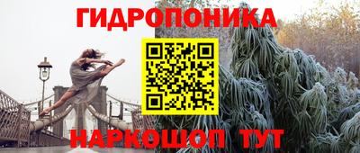 эйфоретик Партизанск